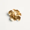 Broche Jardin Aquatique en metal, tela y conchas Broche Jardin Aquatique en metal, tela y conchas