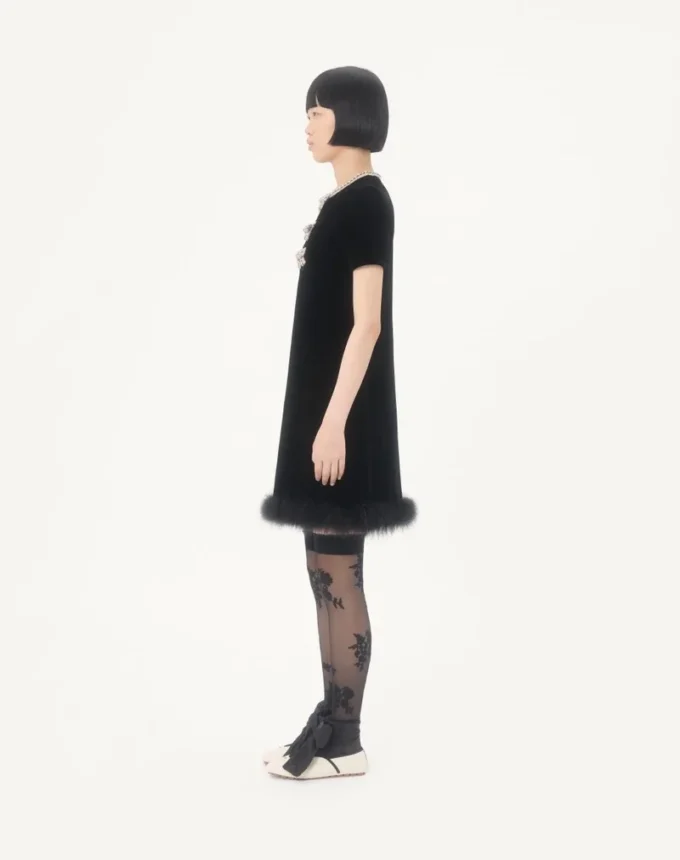 Vestido corto de terciopelo sablé bordado