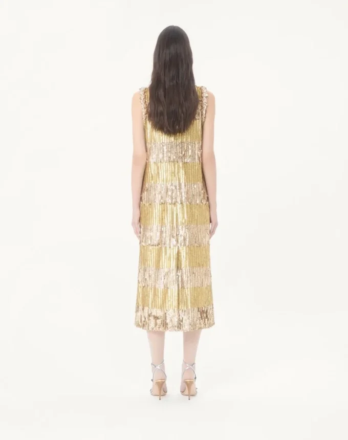 Vestido midi Illusione de tul bordado Vestido midi Illusione de tul bordado
